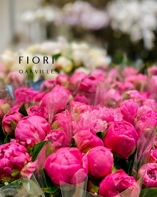 Order peonies delivery Oakville Toronto Burlington Mississauga Milton. FIORI Florist