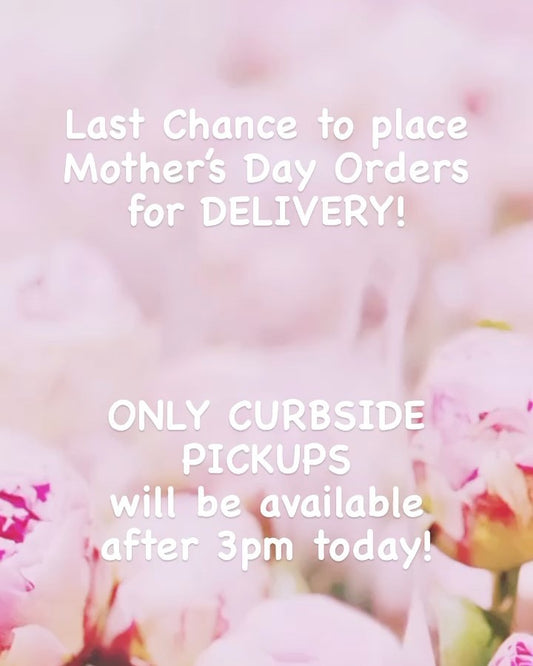 FLOWER DELIVERY Mother's Day