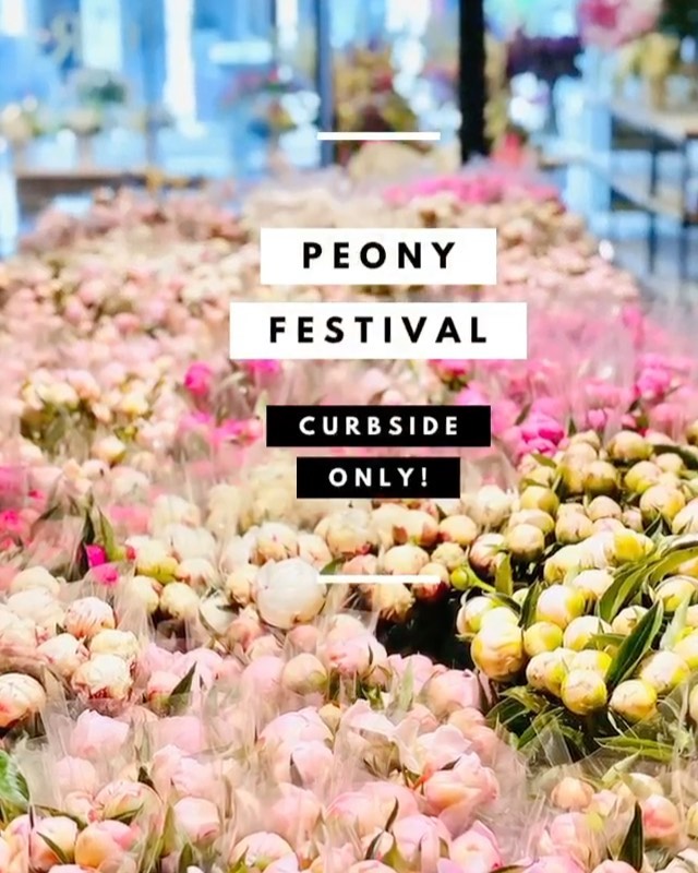 PEONY SPECIAL!🌸 - FIORI Oakville -