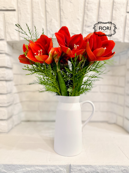 Toscana Farmhouse - Red Amaryllis Pitcher