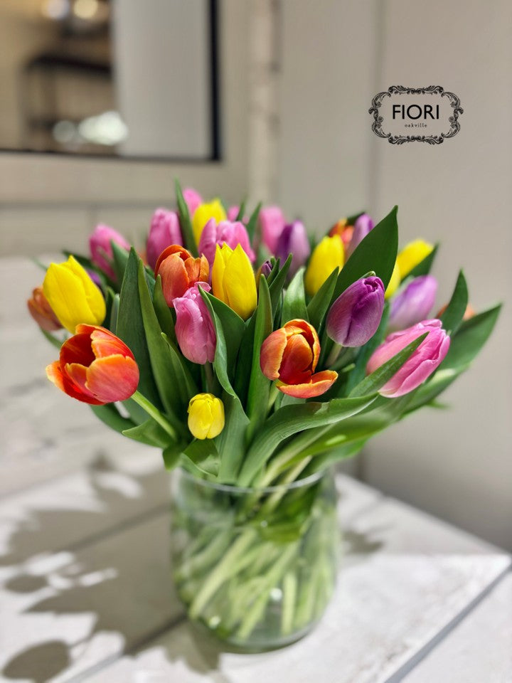 Rainbow Tulip Collective in a Vase