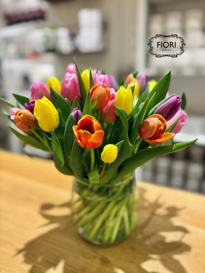 Rainbow Tulip Collective in a Vase